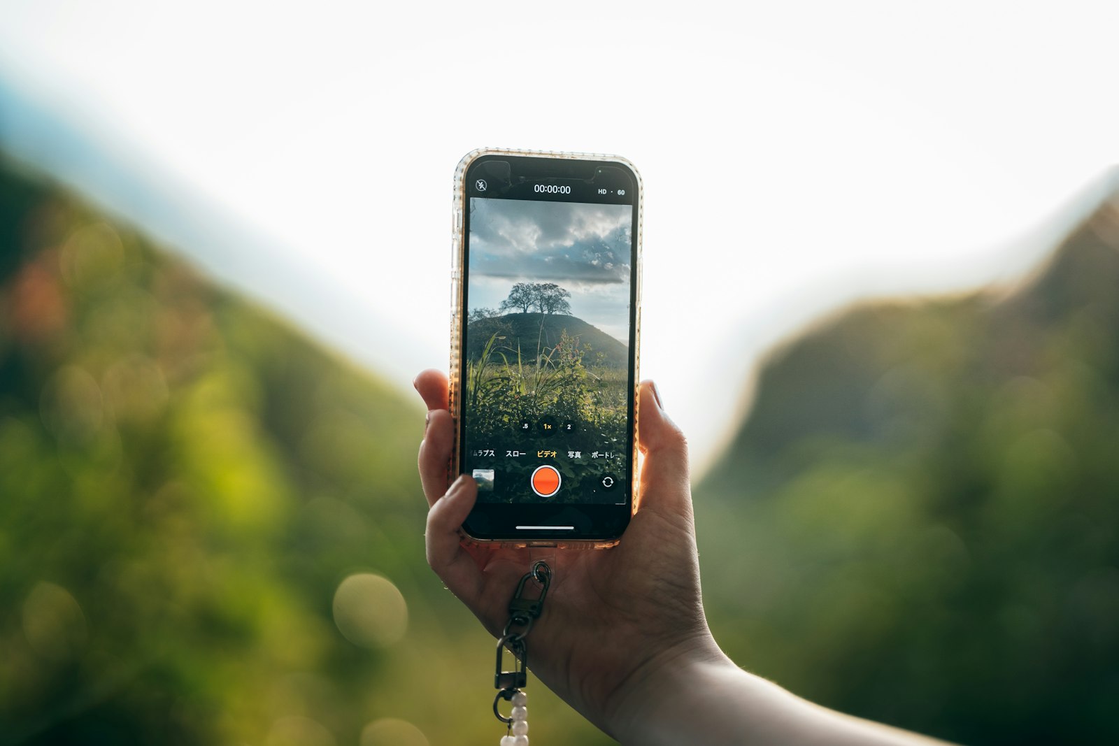 A hand holding up a phone that frames a landscape